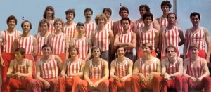 AK Crvena zvezda 1981