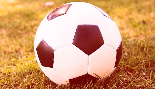 Pronađite pečalbara (10)