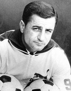 Veliki Vladimir Beara