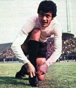 Nenad Bjeković