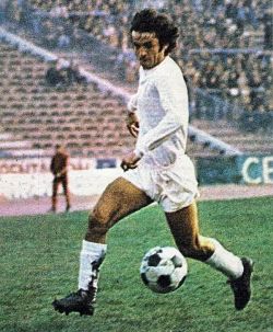 Kemo Hafizović (Čelik)