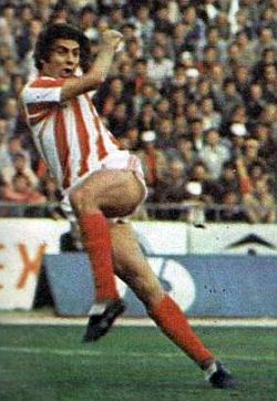 Dušan Savić (Zvezda)