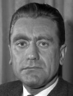 Manfred Šrajber